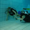 schnuppertauchen_2009_22