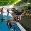 schnuppertauchen_2010_050