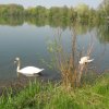 img_8069