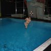 IMG_1249