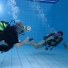 25-Stunden-Schwimmen 2014