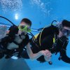25-Stunden-Schwimmen 2014