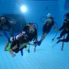 25-Stunden-Schwimmen 2014