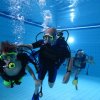 25-Stunden-Schwimmen 2014