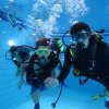 25-Stunden-Schwimmen 2014