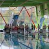 25-Stunden-Schwimmen 2014