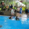 25-Stunden-Schwimmen 2014