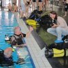 25-Stunden-Schwimmen 2014