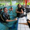 25-Stunden-Schwimmen 2014
