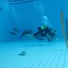 25-Stunden-Schwimmen 2014