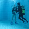 25-Stunden-Schwimmen 2014