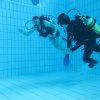 25-Stunden-Schwimmen 2014