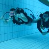 25-Stunden-Schwimmen 2014