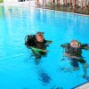 25-Stunden-Schwimmen 2014