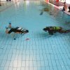 25-Stunden-Schwimmen 2014