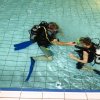 25-Stunden-Schwimmen 2014