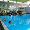 img_6452