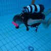 img_6522