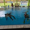 25-Stunden-Schwimmen