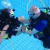 25-Stunden-Schwimmen