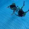 25-Stunden-Schwimmen