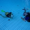 25-Stunden-Schwimmen