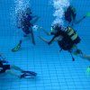25-Stunden-Schwimmen