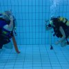 25-Stunden-Schwimmen