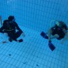 25-Stunden-Schwimmen
