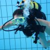 25-Stunden-Schwimmen