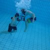 25-Stunden-Schwimmen