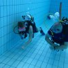 25-Stunden-Schwimmen