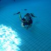25-Stunden-Schwimmen