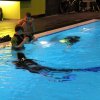25-Stunden-Schwimmen
