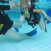 Schnuppertauchen 29. Juli 2018