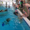 Schnuppertauchen 29. Juli 2018