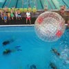 Schnuppertauchen 29. Juli 2018