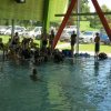 Schnuppertauchen 29. Juli 2018